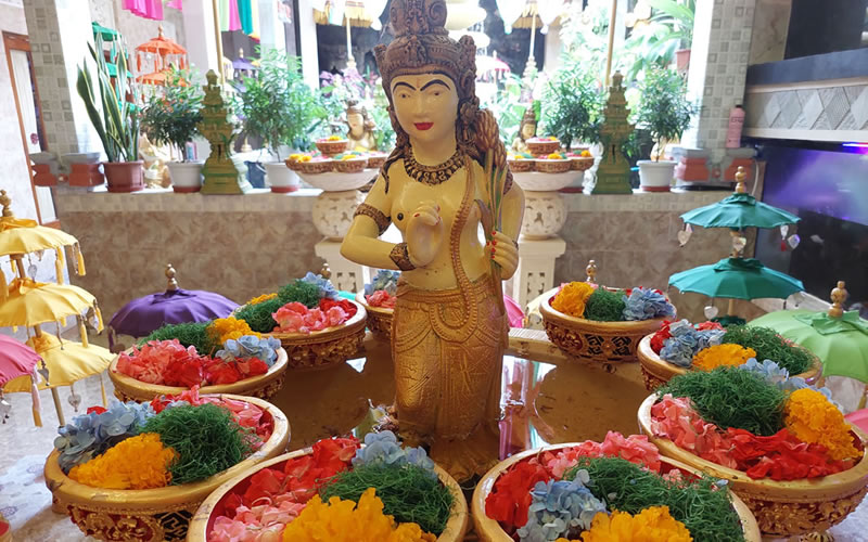 PACKAGE 10: 3.5-Hour Combination of Package 3 and Package 4